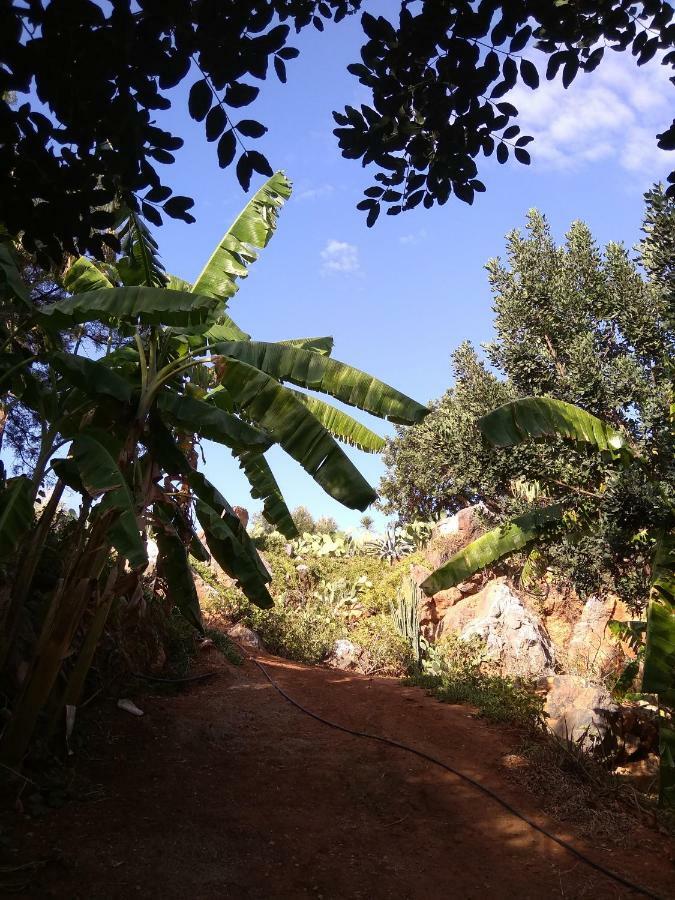 דירות Kalo Chorio  Erofili'S House מראה חיצוני תמונה