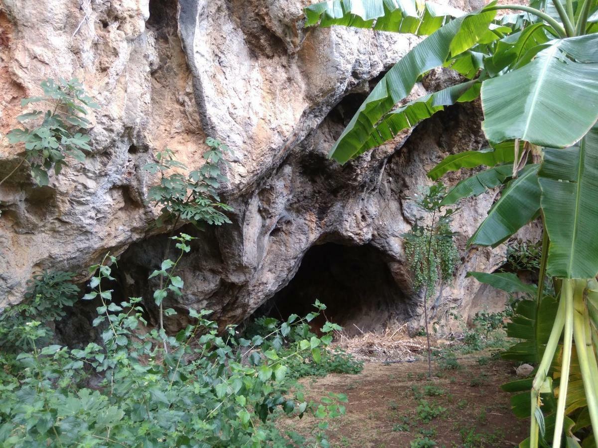 דירות Kalo Chorio  Erofili'S House מראה חיצוני תמונה